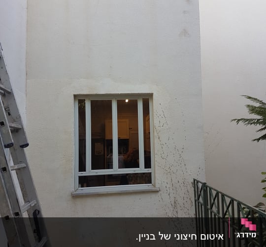 סולם ליד קיר עם חלון, סימני רטיבות על הקיר